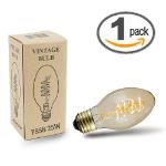 PS58 Vintage Edison Bulb - E26 - 25 Watt -1 Pack**ON SALE**