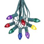 25 Light String Set with Assorted Transparent C7 Bulbs on Green Wire