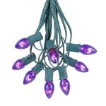 25 Light String Set with Purple Transparent C7 Bulbs on Green Wire